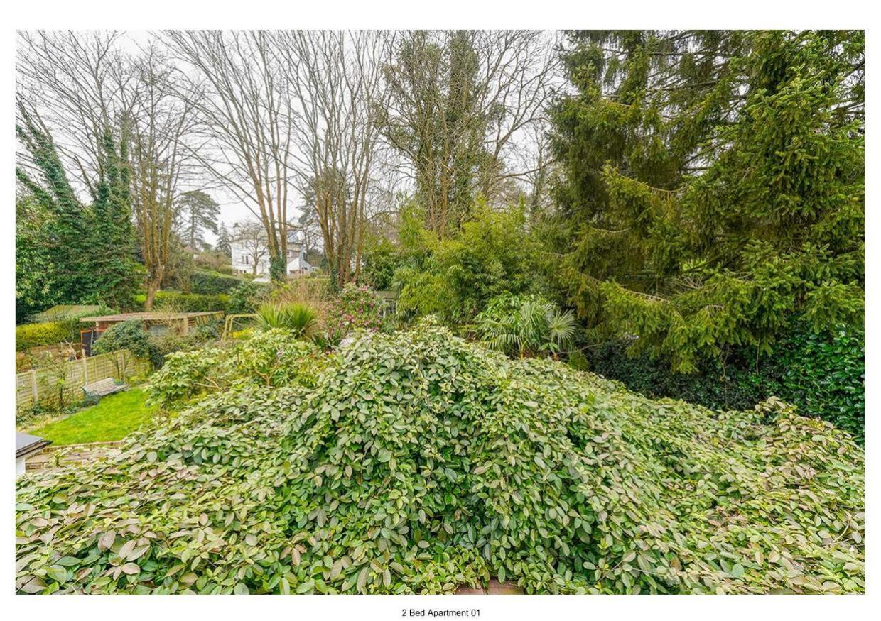 The Park Apartment Haywards Heath Extérieur photo